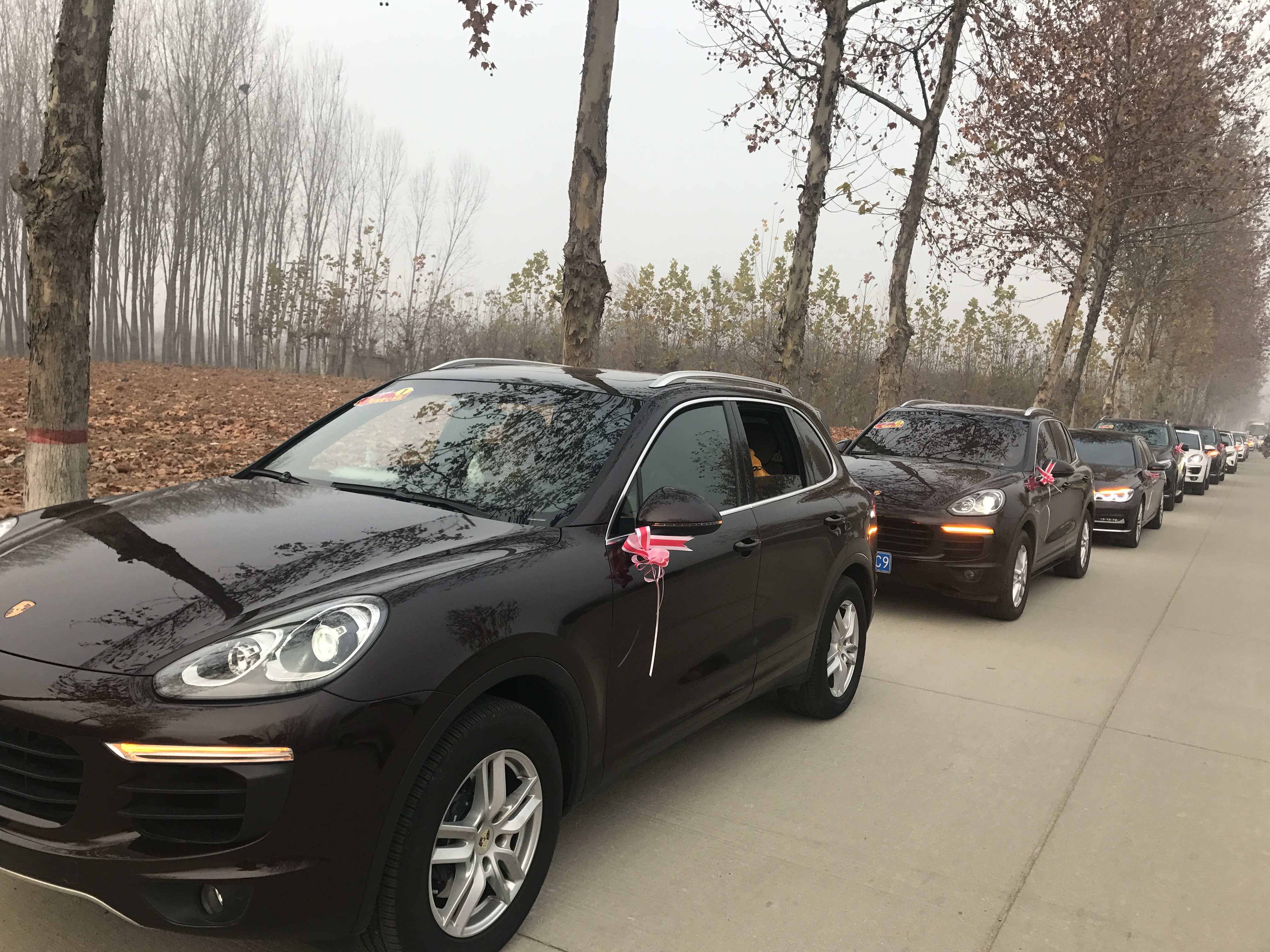 第183所 泰安市岱岳区良庄镇江南体育(中国)官方网站李娜小学