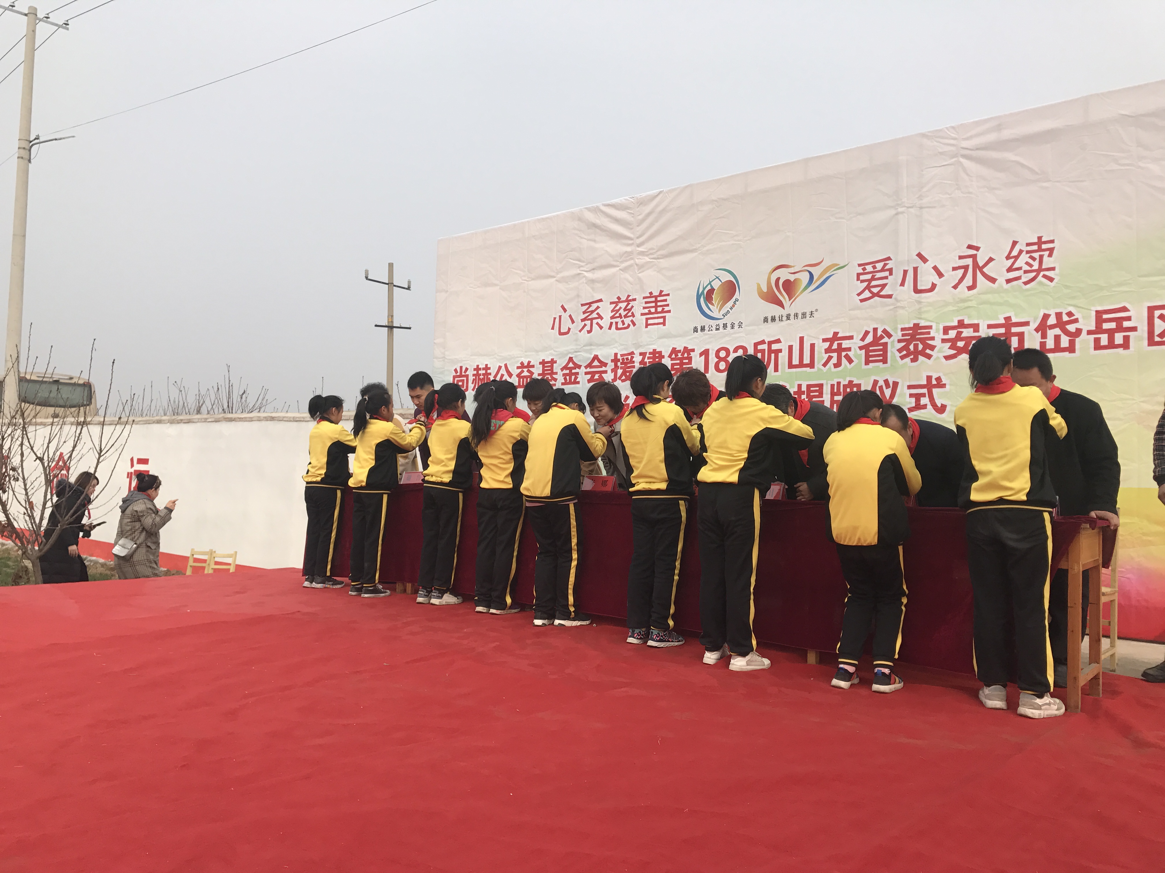 第183所 泰安市岱岳区良庄镇江南体育(中国)官方网站李娜小学