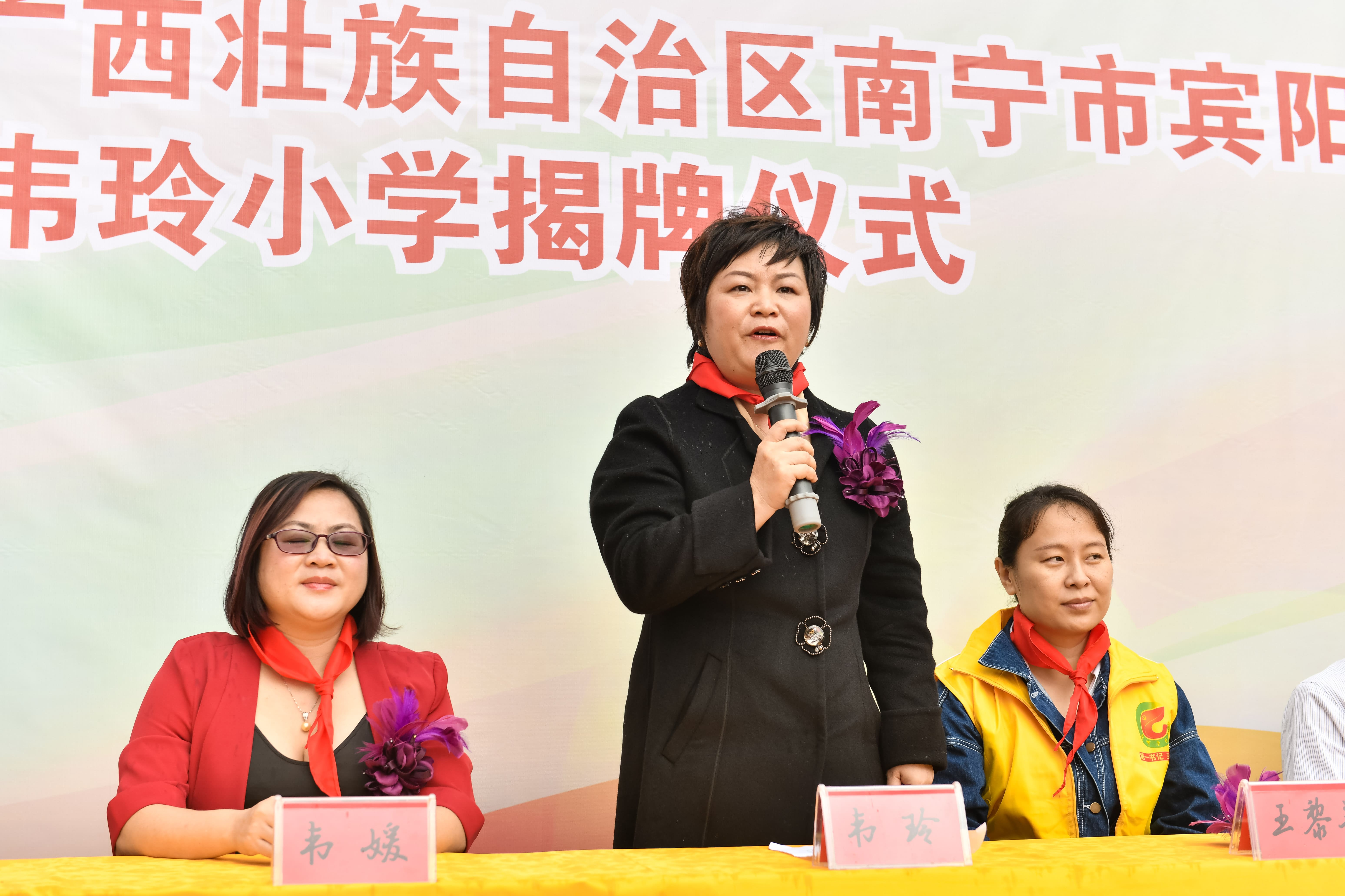 第184所 南宁市宾阳县思陇镇昆仑村江南体育(中国)官方网站韦玲小学 第184所 南宁市宾阳县思陇镇昆仑村江南体育(中国)官方网站韦玲小学